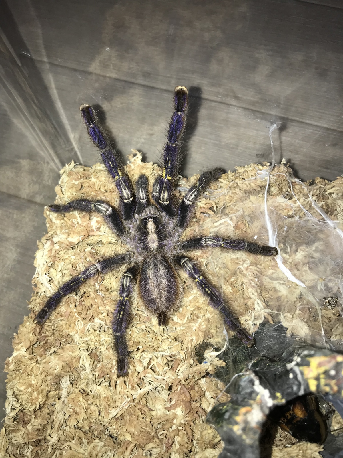 足立区生物園 19年4月 解説員のひとりごと 足立区生物園 19年4月 解説員のひとりごと