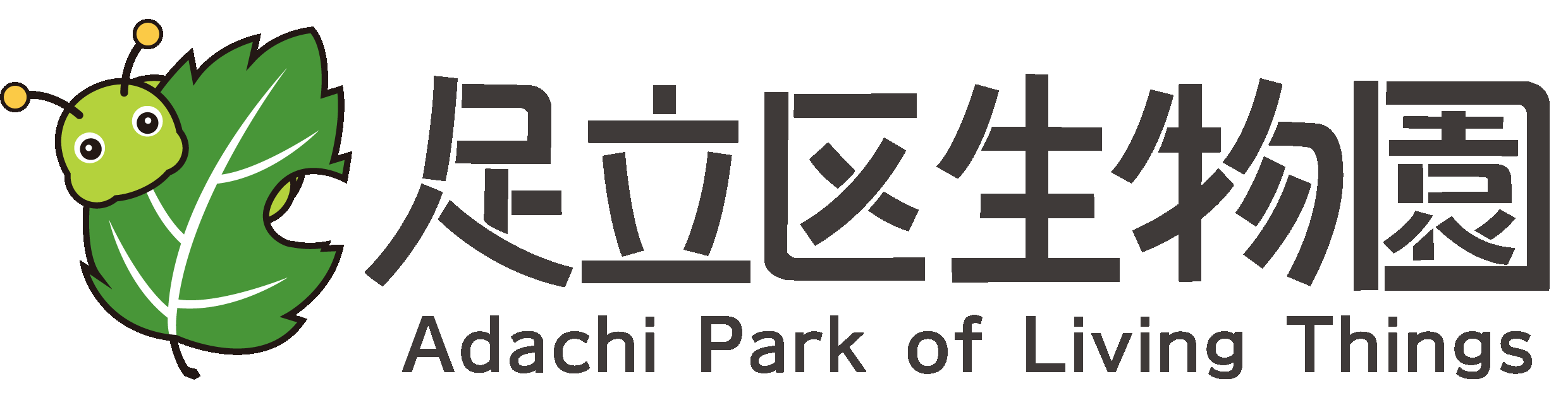 足立区生物園 オオゴマダラ 足立区生物園 オオゴマダラ