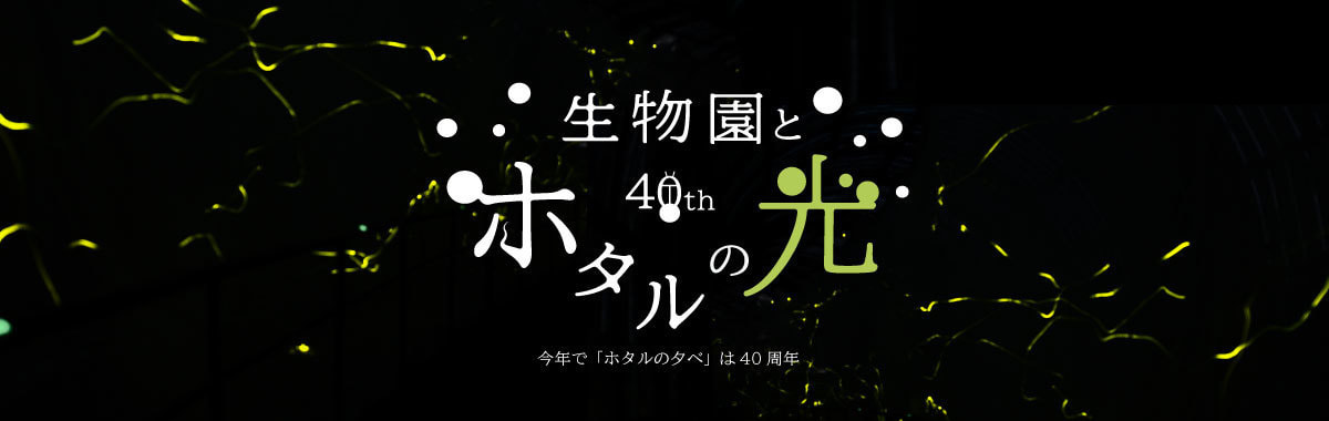 ホタルの光キャンペーン