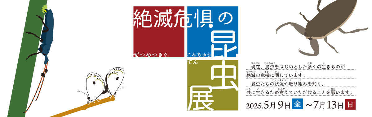 絶滅危惧の昆虫展