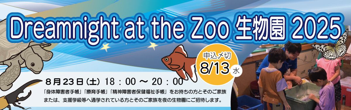 ドリームナイトアットザズーのビジュアル画像