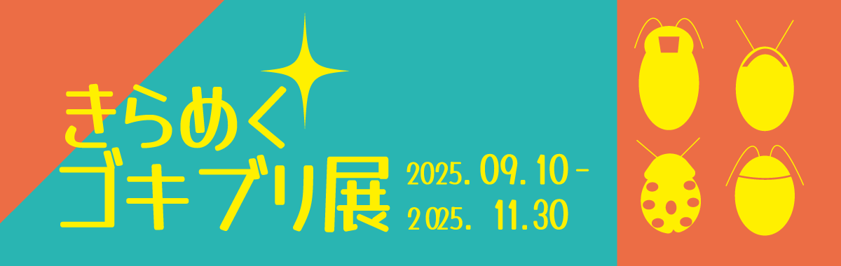 img20250911154702959247.png
