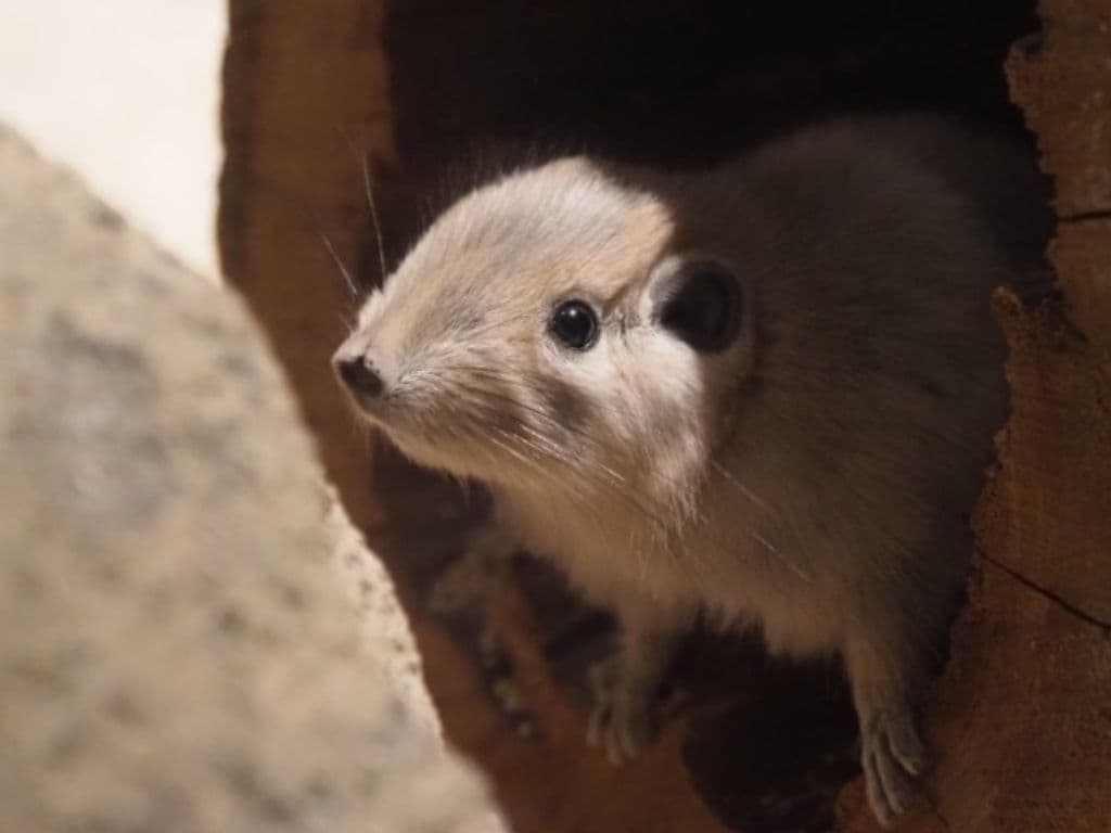 2025.12.25 すくすくと育つ11月生まれの仔