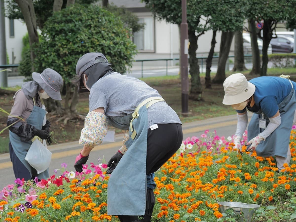 公園花壇サポーターの活動写真