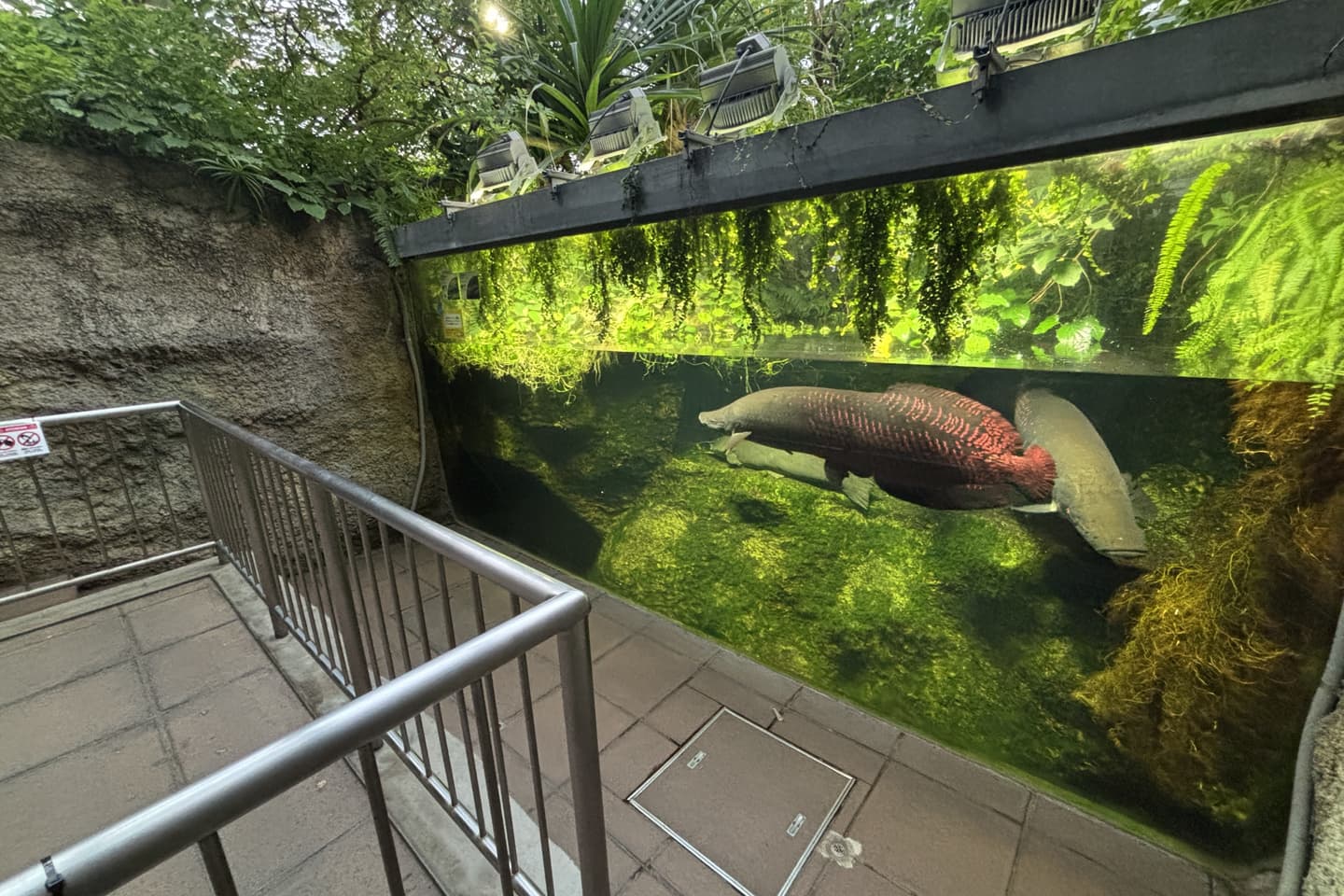 生物園内の大温室の画像