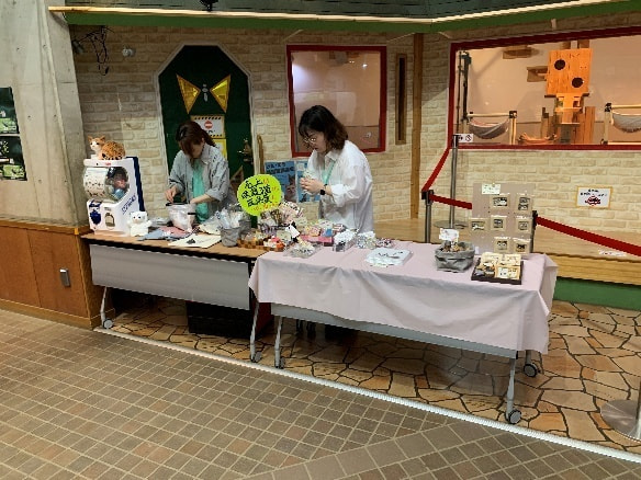 ネコの部屋前の画像