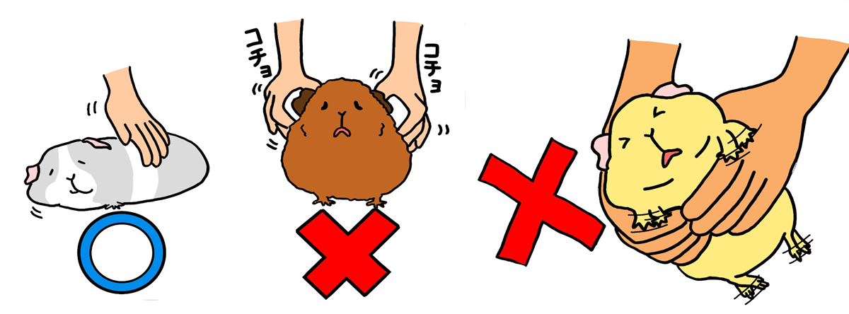 子どもにも理解しやすいようにイラストを用いて説明