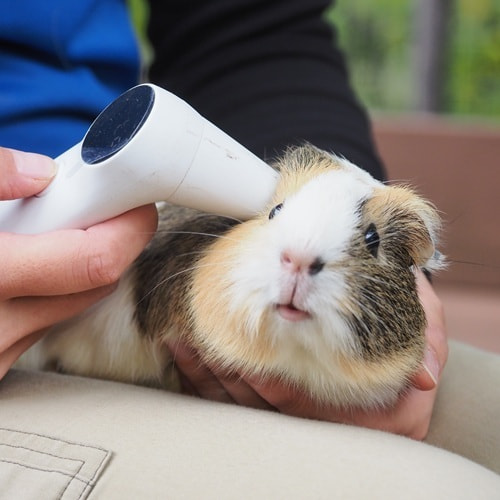 調査