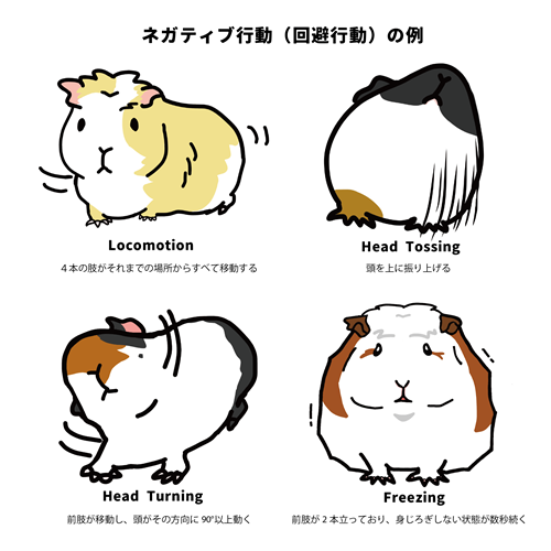 ネガティブ行動の例