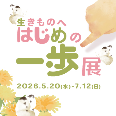 1F展示の画像