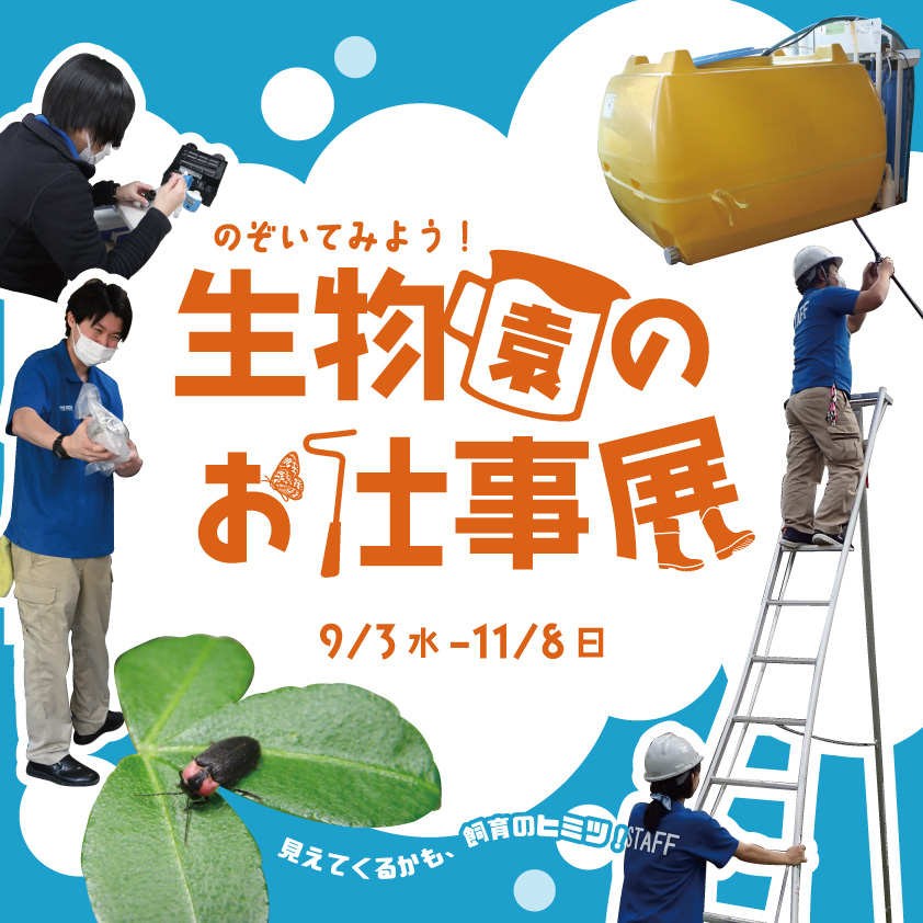 企画展の画像