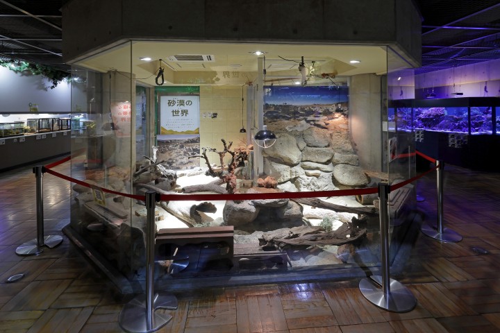 生物園内観察展示室の写真