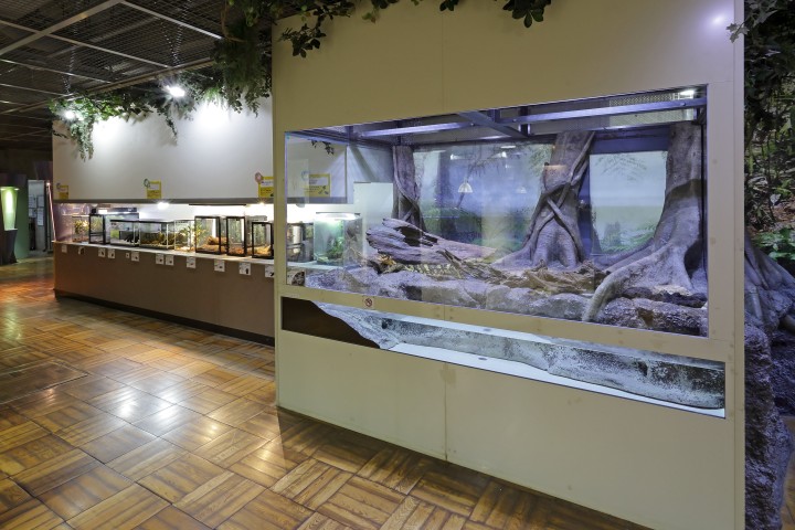 生物園内観察展示室の写真