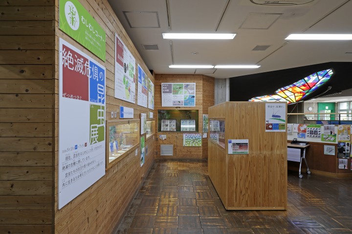 生物園内むしむしコーナーの写真