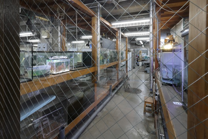 生物園内地下展示室の写真