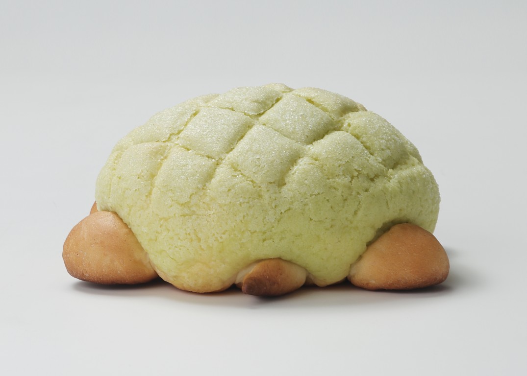 モルモットの生物園生きものパンの画像