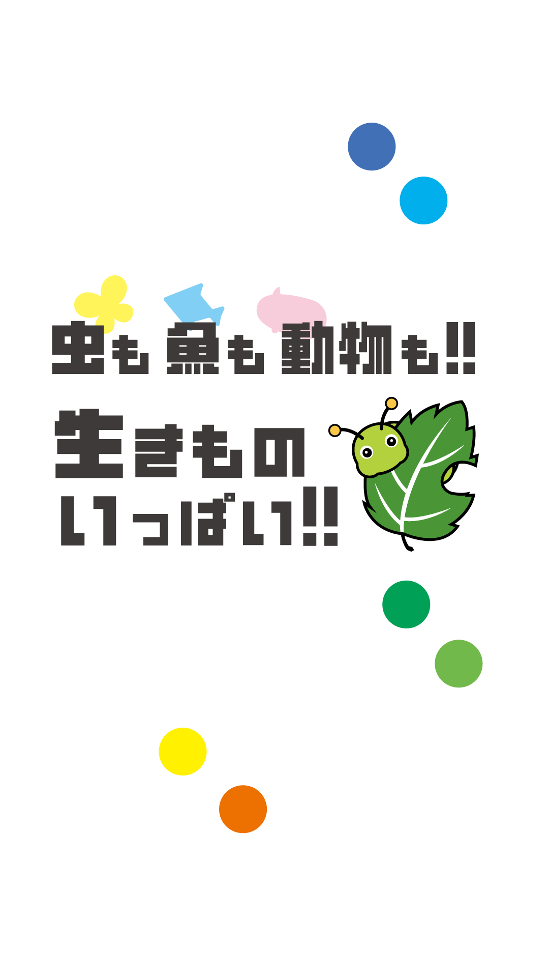 スマホ用動画の読み込み中