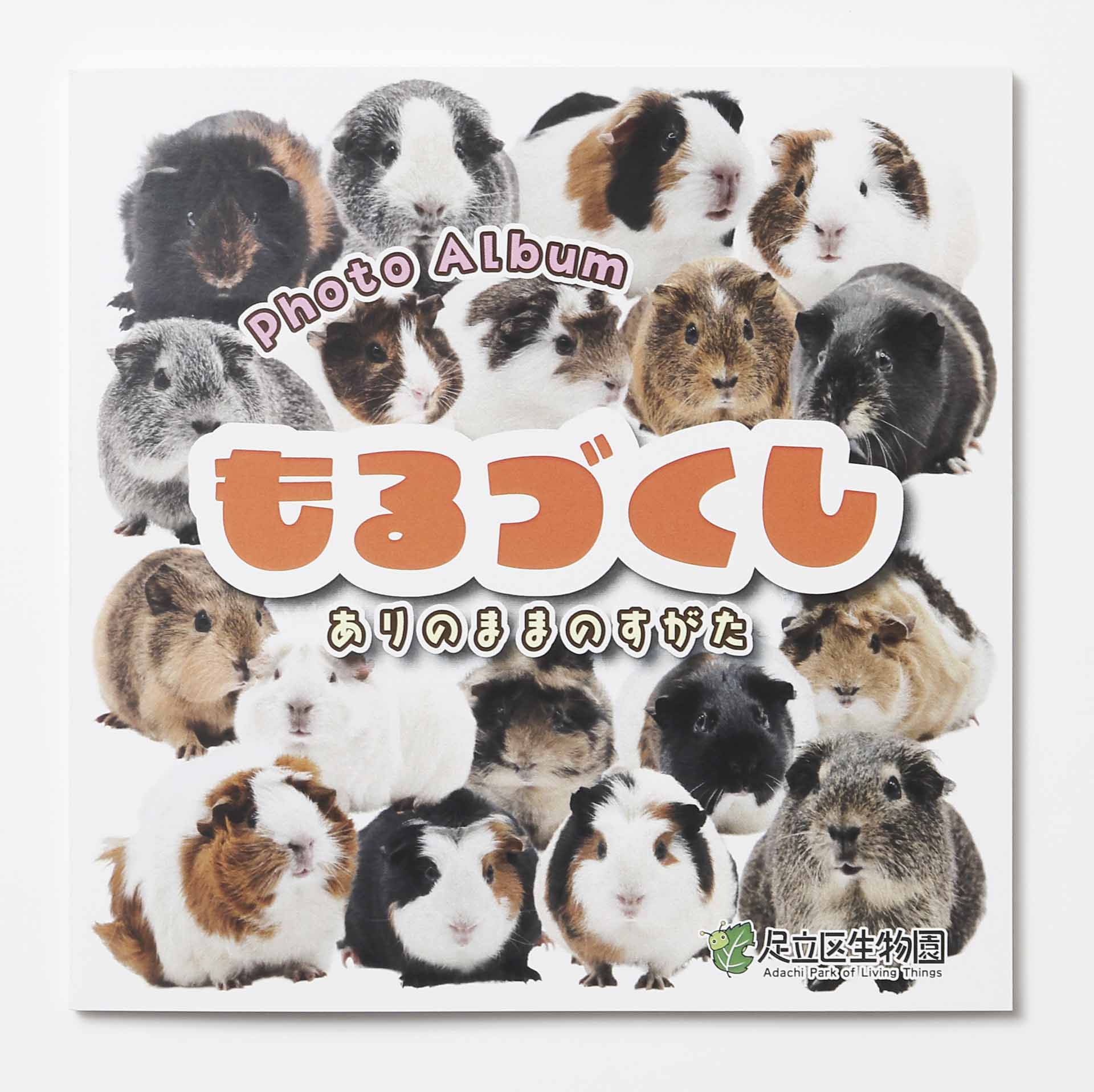 フォトアルバム
