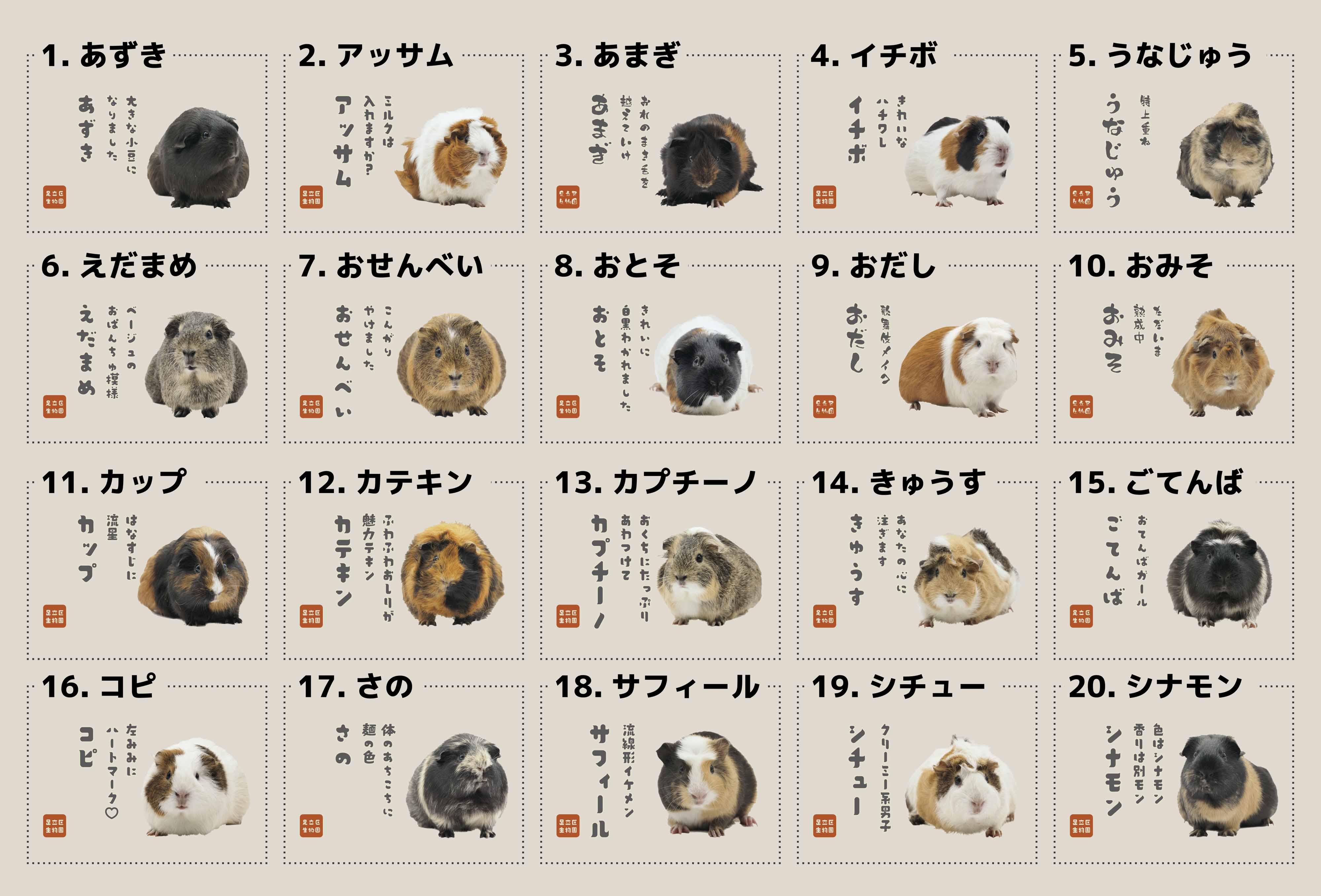 ハンドトート