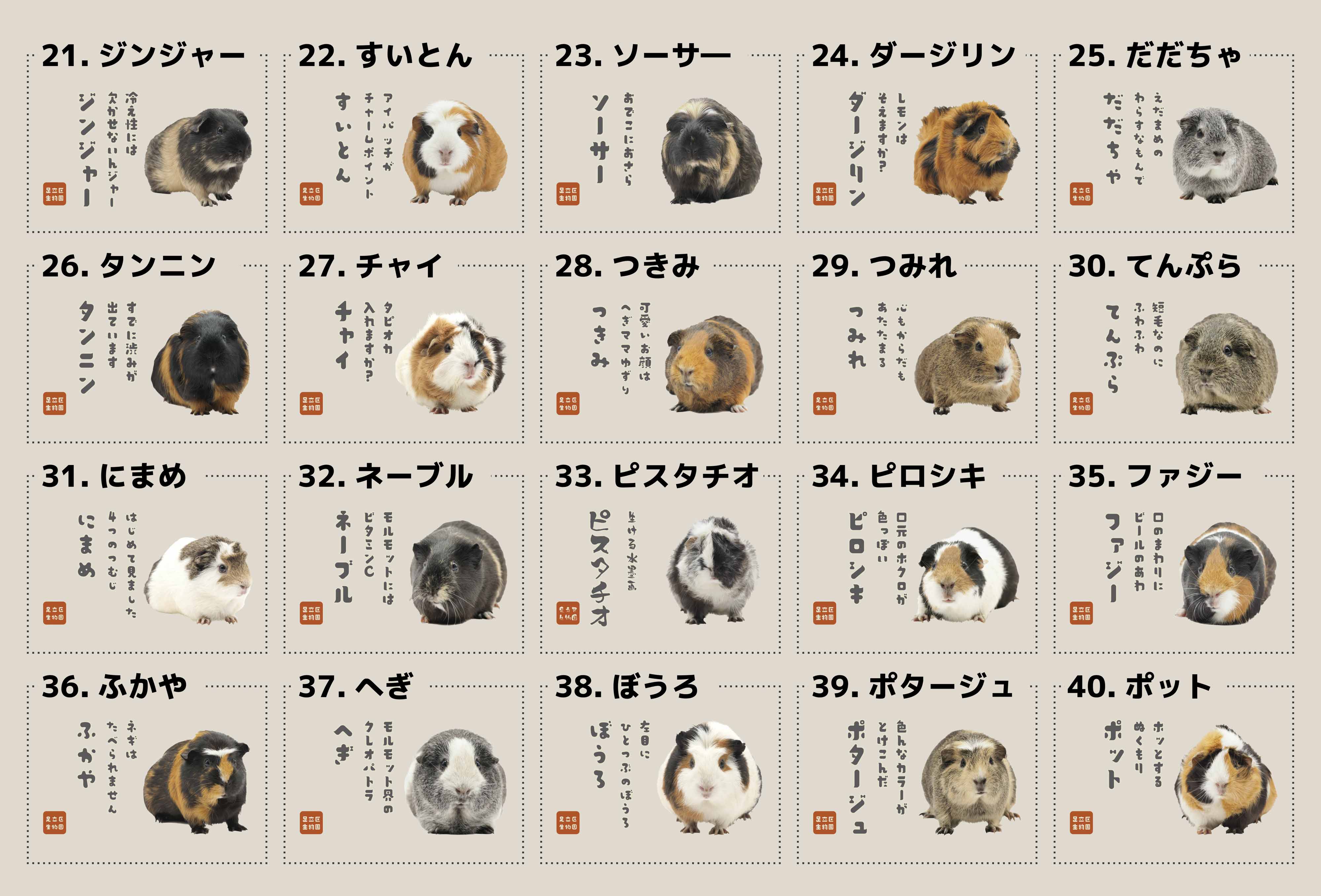 ハンドトート