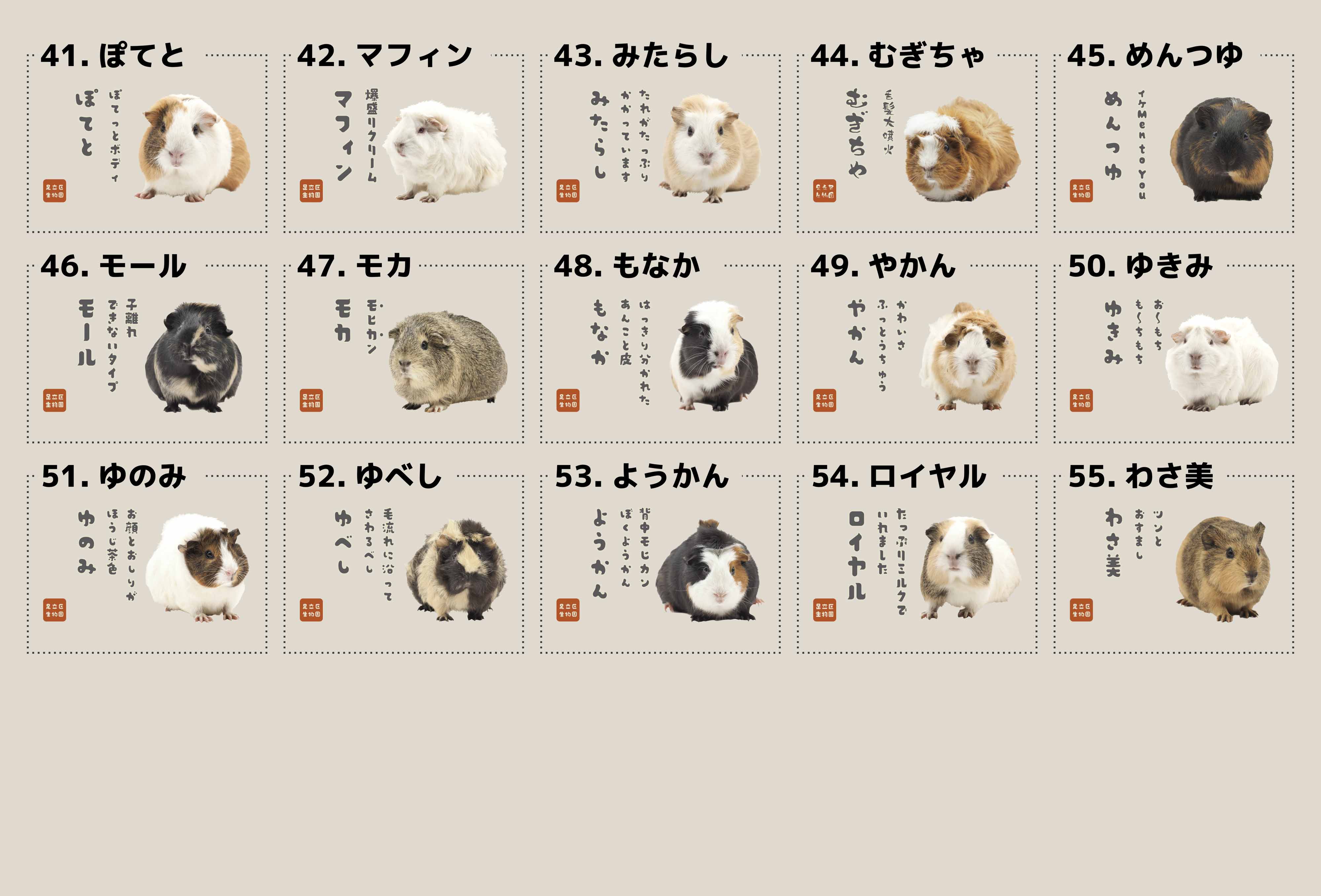 ハンドトート