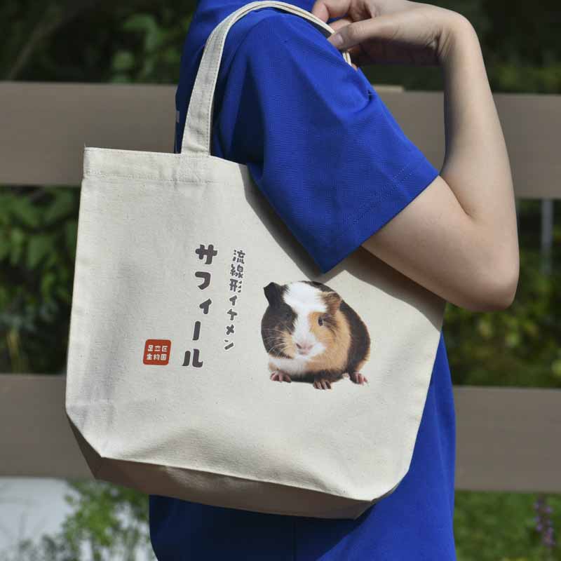 ハンドトート