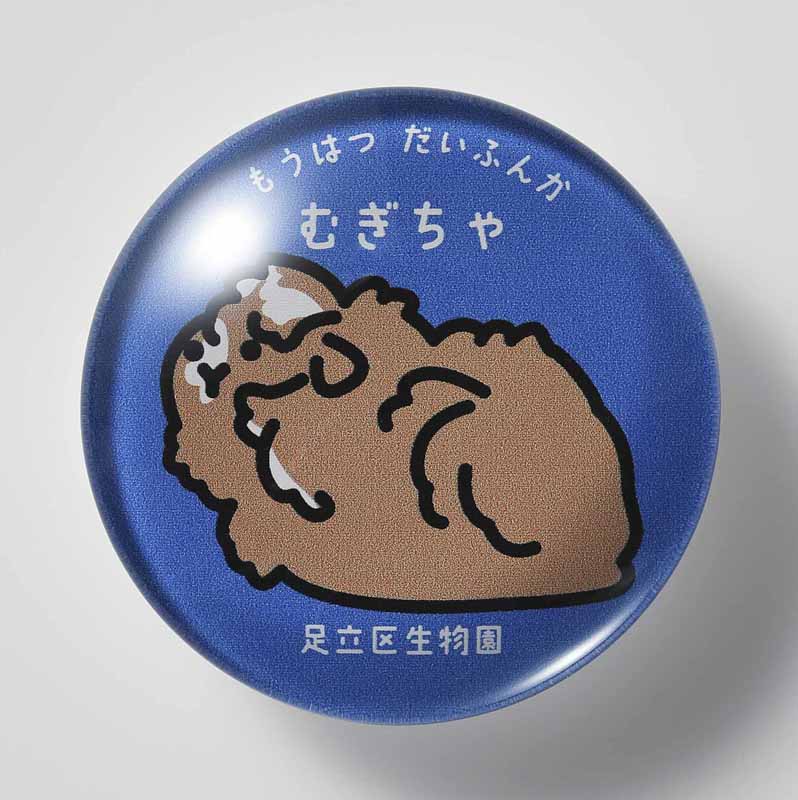 ガラスマグネット