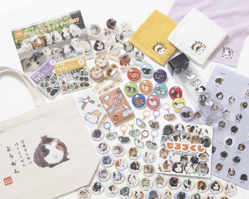 ショップ新商品