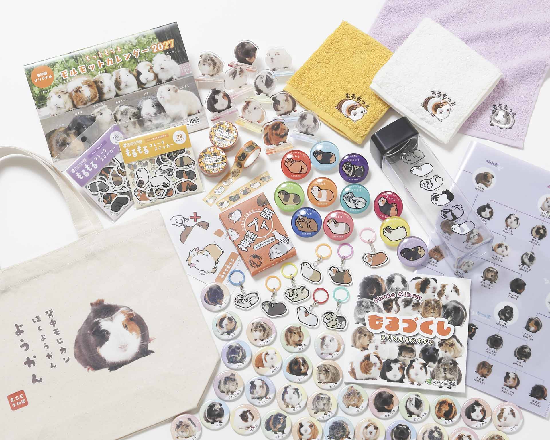 ショップ新商品