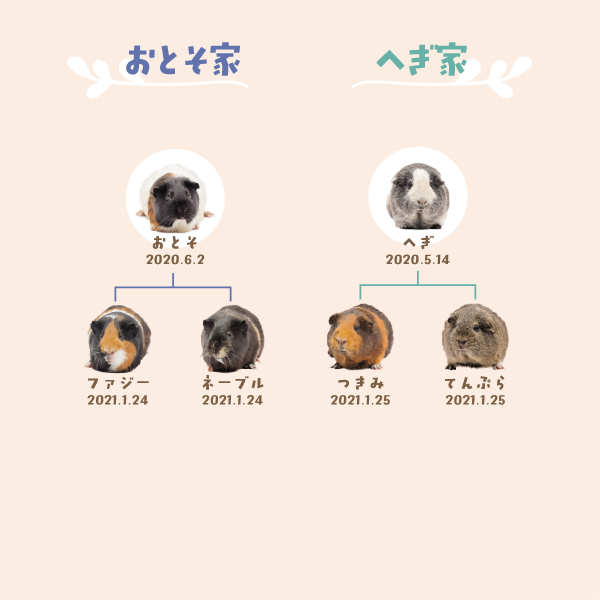おとそへぎ家
