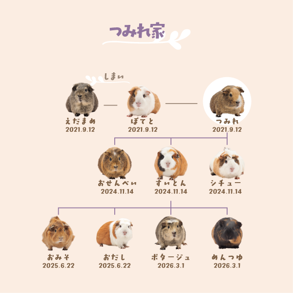 つみれ家