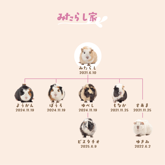 みららし家