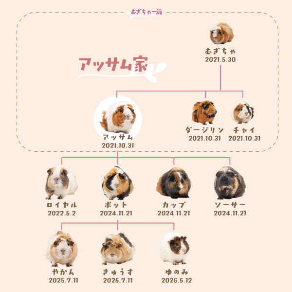 アッサム家