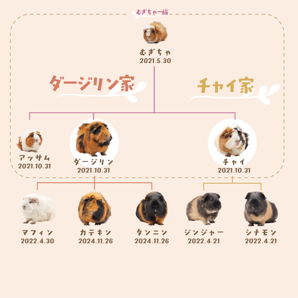 ダージリンチャイ家