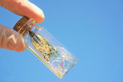 生物園オンラインショップ商品の画像