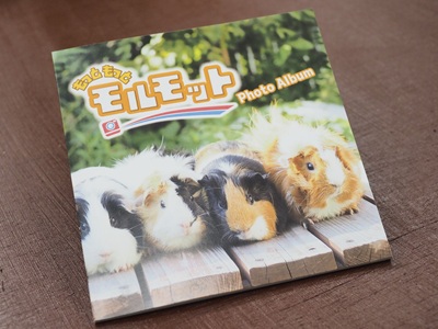 生物園オンラインショップ商品の画像