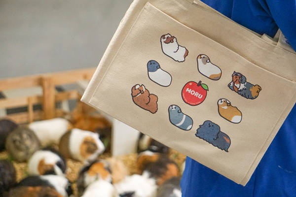 生物園オンラインショップ商品の画像