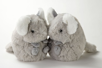 生物園オンラインショップ商品の画像