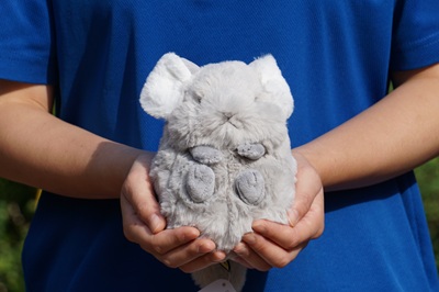 生物園オンラインショップ商品の画像