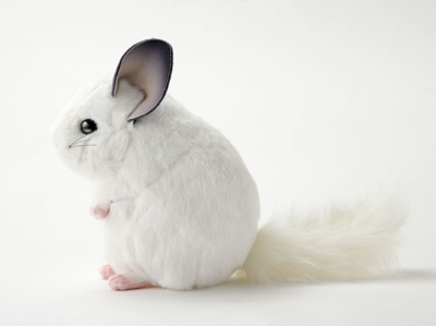 生物園オンラインショップ商品の画像