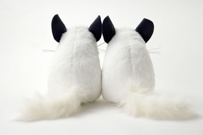 生物園オンラインショップ商品の画像