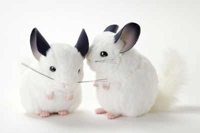 生物園オンラインショップ商品の画像