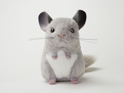 生物園オンラインショップ商品の画像