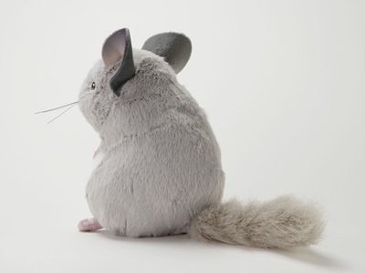 生物園オンラインショップ商品の画像