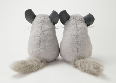 生物園オンラインショップ商品の画像