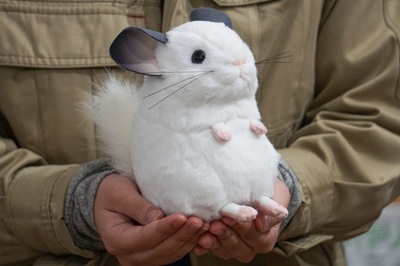 生物園オンラインショップ商品の画像