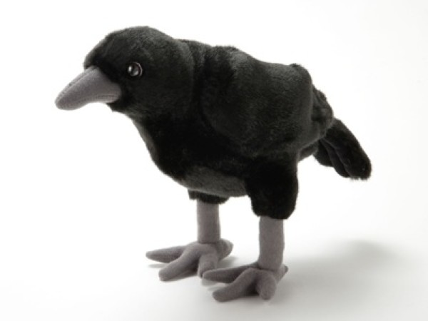 生物園オンラインショップ商品の画像