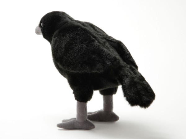 生物園オンラインショップ商品の画像