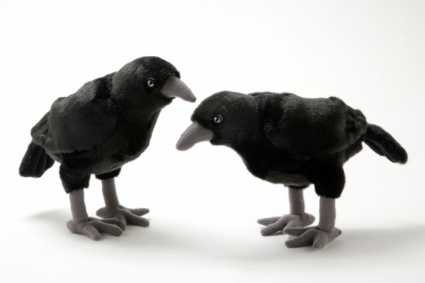 生物園オンラインショップ商品の画像