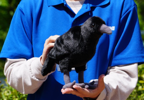 生物園オンラインショップ商品の画像